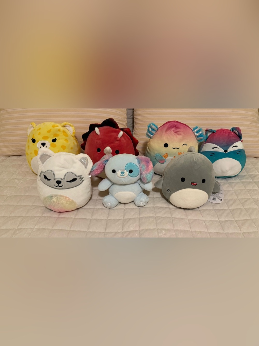 Squishmallows Stuffed Animal Lot